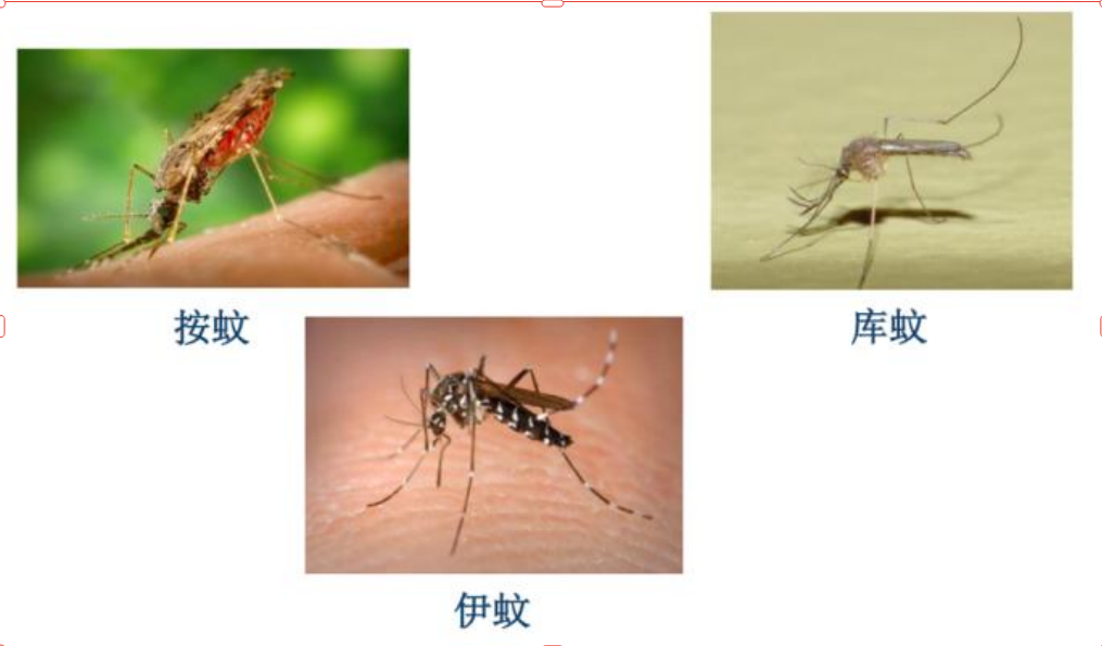 da707982-ed30-45ff-aedd-5a60424352e1.png